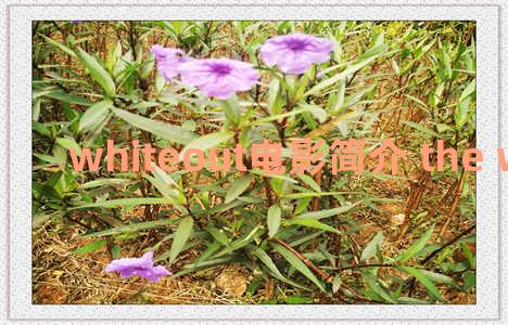 whiteout电影简介 the white lotus imdb